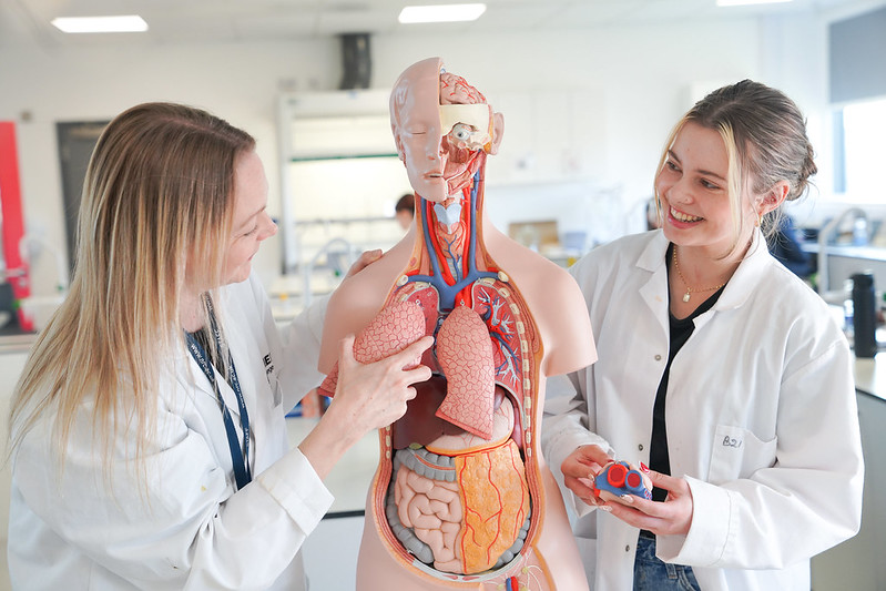 Career-Ready Courses 