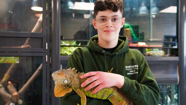 Animal Management