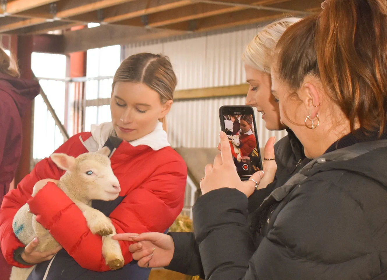 Glenshane Country Farm